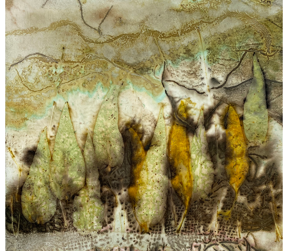 Reflection - Randi Parkhurst